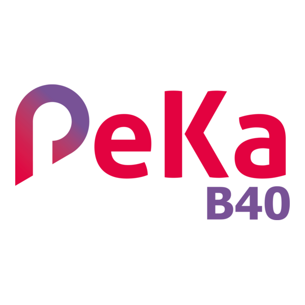 PeKA B40 logo